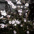 호남농장 이미지