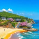 1박 2일 강릉 여행 코스 이미지