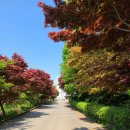 개미골프 연습장 이미지