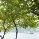 부산근교 피크닉 추천 : 진해 소죽도공원 바다뷰 데이트
