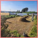 현대장의사 이미지