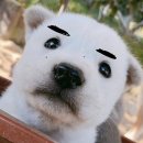 마실가는집