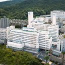 부산백병원 이미지