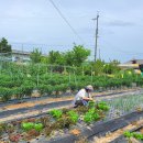 우하하농장 이미지