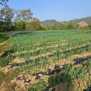 산마을 양계장 이미지