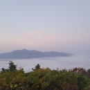 명동리경로당 Daum카페