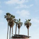 현풍초등 이미지