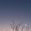 GS25남구로점 | 귀하게 자란 내가 출근해도 될까 (12월 3주차 일상)