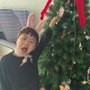 윤희성 산타미션🎄 이미지