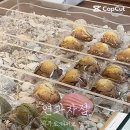연과자점