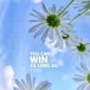 흔들리며 피는 꽃 이미지