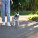 강동동물병원 이미지