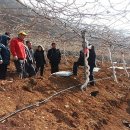 재숙농장 이미지