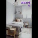 모모스테이