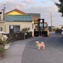 루프탑 정원 이미지