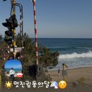 누구나 꽃 헤어샵 네이버블로그