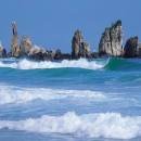 푸른감(푸른感) 이미지