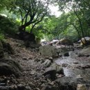 [경기/포천] 지장산 계곡 - 캠핑와인 &amp; 커플와인 와이니(Winey)
