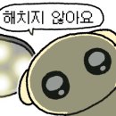 한성짜장 이미지