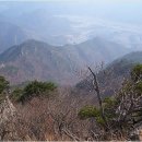 삼가관광농원 이미지