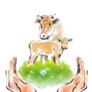 한우인공수정소 이미지