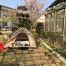 은행나무펜션 이미지