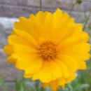 홍은농장 이미지