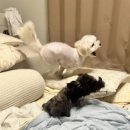 멍무드 살롱 이미지