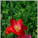 하늘아래첫집 이미지