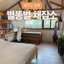 꿈꾸는고양이 | 제주도 동쪽 제주시 감성 숙소 별똥별채집소 꿈꾸는동 내돈내산 솔직후기