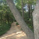 송정공원2(운동장) Daum카페