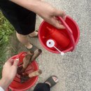 미스터빠삭안면도점 | 태안 1박2일 여행 / 갯벌체험 조개잡기 성공!
