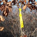 솔봉펜션 이미지