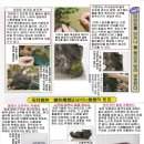 정언 이미지