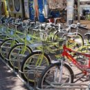 은행나무길 대여소 이미지