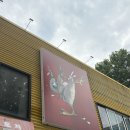 열정의 닭 이미지