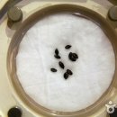 조동리선사유적박물관 이미지