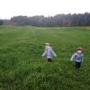 청정목장 이미지