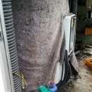 현대기아로 이미지