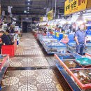 다대씨파크 이미지