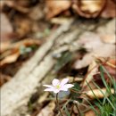 토영이야~길(2코스-미륵도길) 이미지