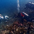 제주현대미술관 이미지