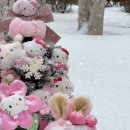 오돈 오리불고기 이미지