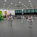 용인대 국가대표 태권도 2관 | #아라동 태권도 👊12월 정기 승급 심사👊