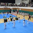 이순신MBA태권도장 이미지