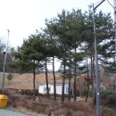 계산고양골체육관 이미지