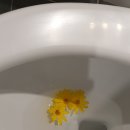 위드세화민박 이미지