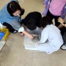 양곡초병설유치원 이미지