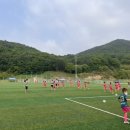 봉양축구장 이미지