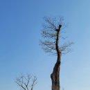 함안(순천) 이미지